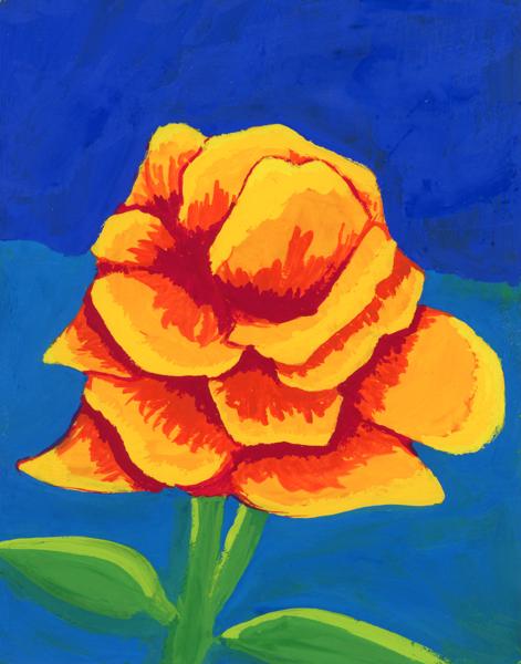 Rose in Eight Colors: A Prismatic Color Study, 2023