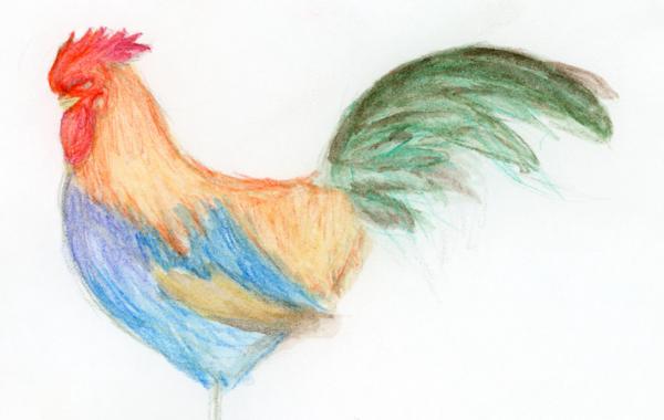 <b>Road Island Red, 2025</b><br><i>Watercolor pencil on paper</i>