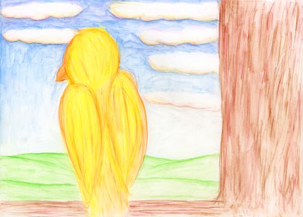 <b>Study of Bird on Branch, 2023</b><br><i>Watercolor pencil on paper</i>