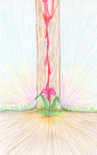 Passion Flower, 2023